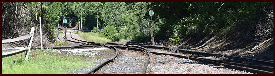 Grapes On the Vine header